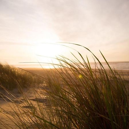 Kleine Nordseewelle Ohne Hund Norden Bagian luar foto